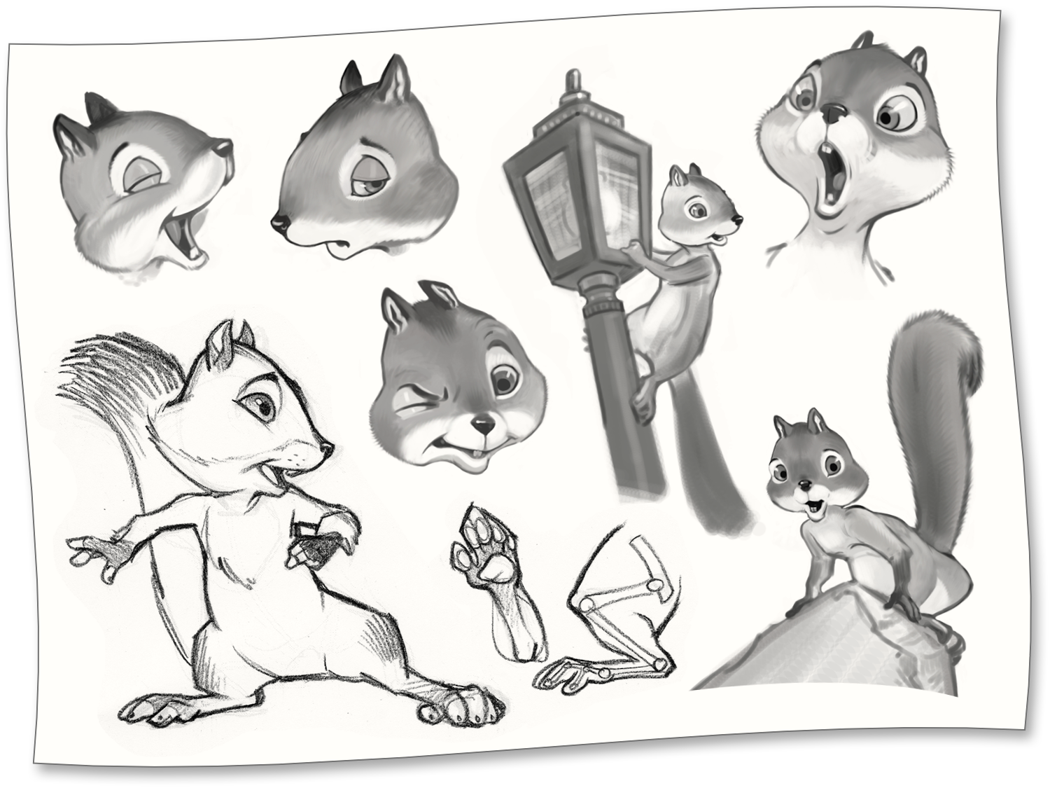 15 | 52 · Character Design Sketches of Squirrel