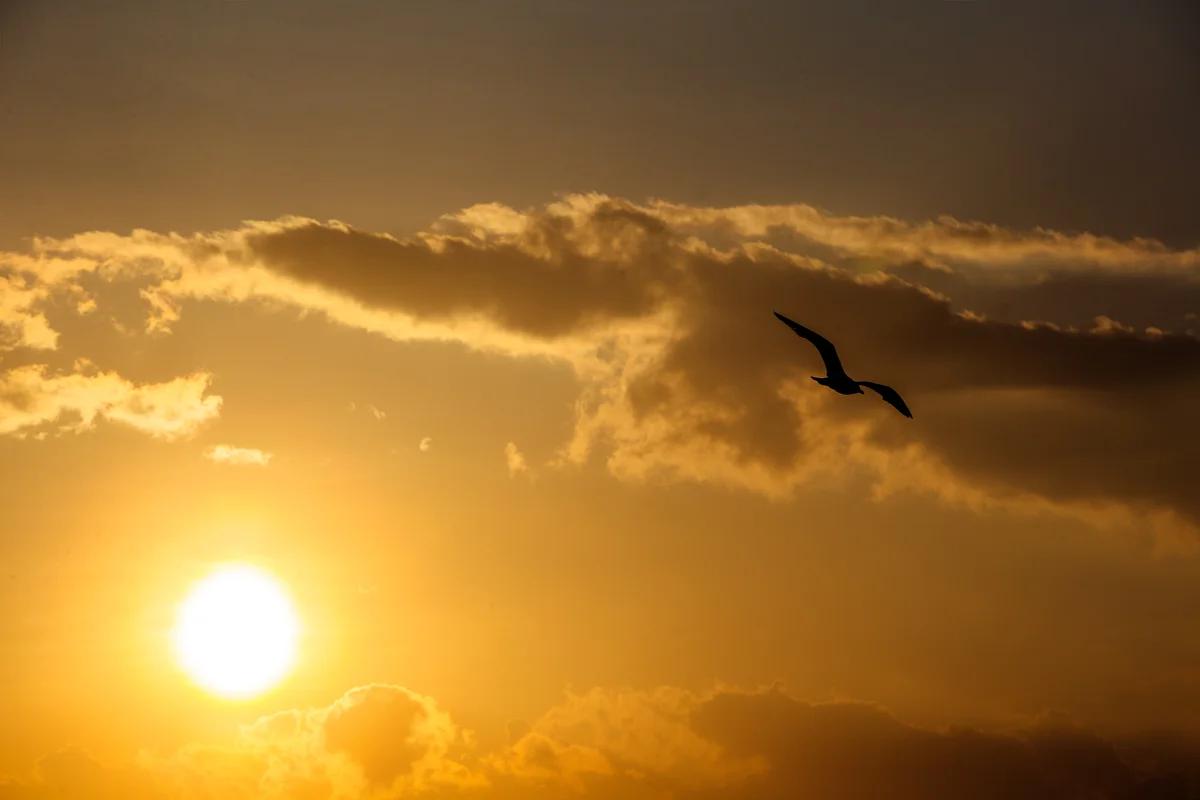 "En el atardecer de esta vida seréis juzgados según el amor"-San Juan de la Cruz - Foto: Gustavo Kralj/Gaudiumpress