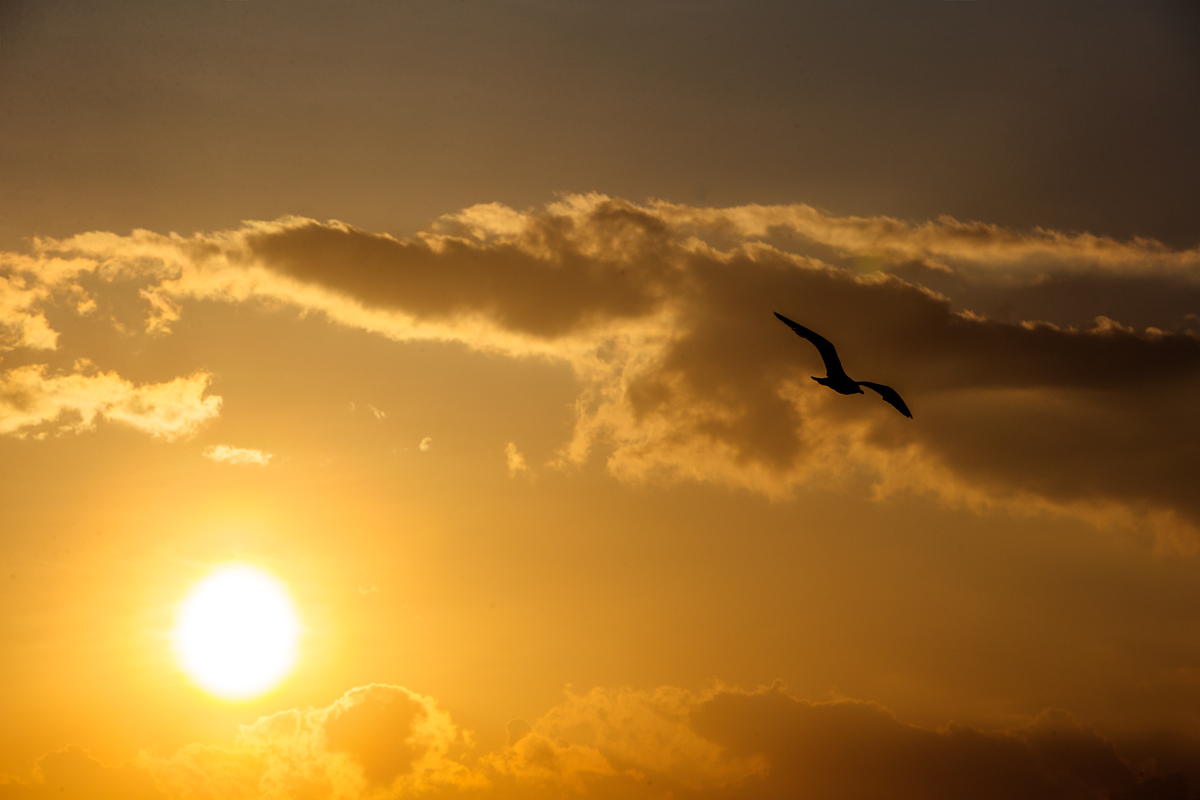 "El viento sopla donde quiere: tú oyes su voz, pero no sabes de dónde viene ni adónde va. Lo mismo sucede con todo el que ha nacido del Espíritu" San Juan 3,1-8. Foto: Gustavo Kralj/Gaudiumpress