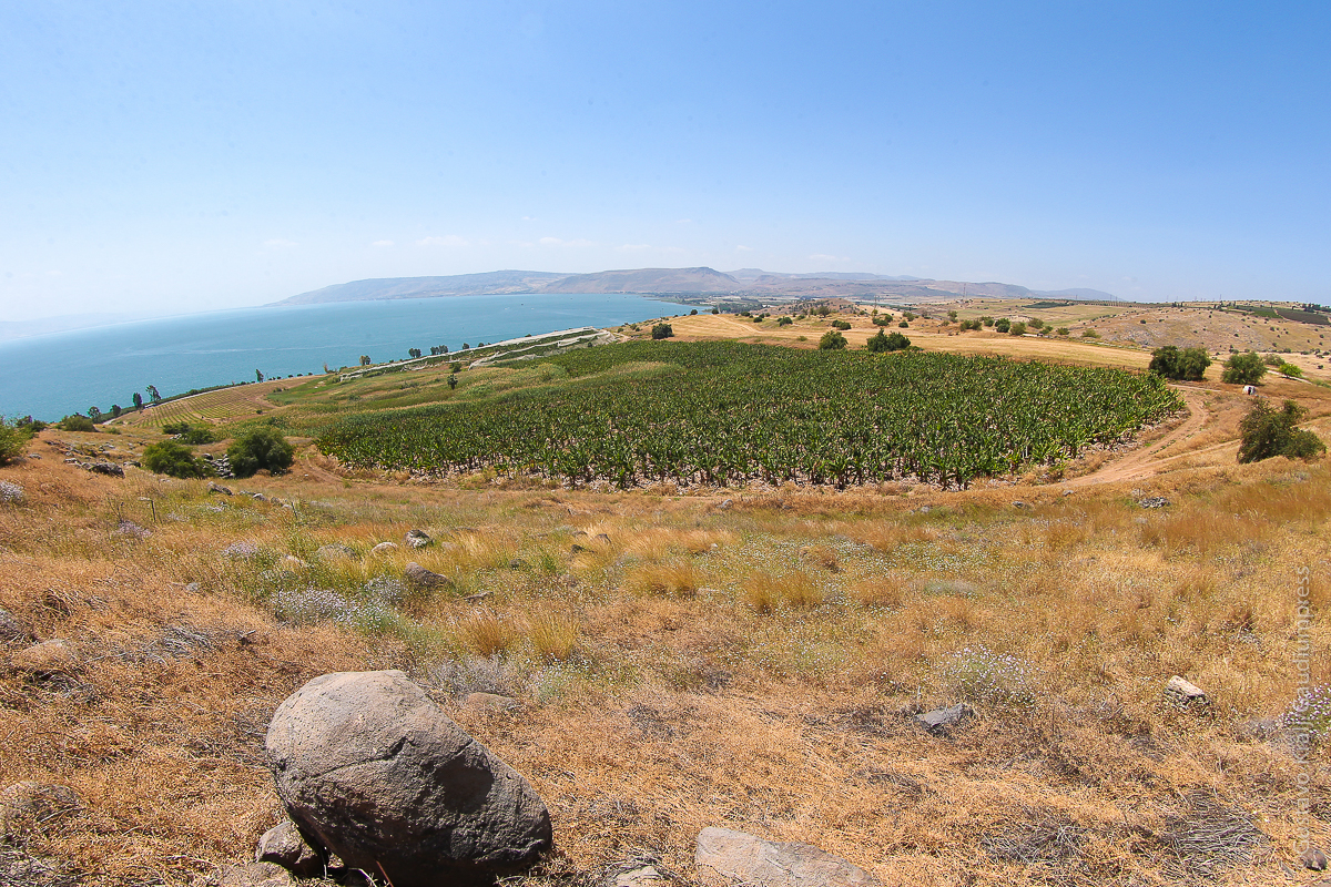 Galilea: Vista desde el monte de las Bienaventuranzas - Foto: Gustavo Kralj/Gaudiumpress
