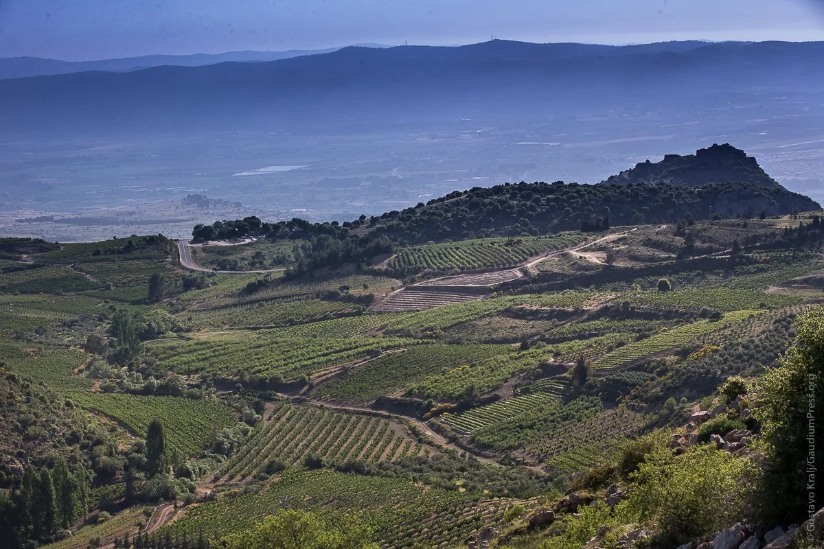 Tierra Santa: alrededores del Castillo de Nimrod, de camino a la antigua Tiro y Sidon. Foto: Gustavo Kralj/Gaudiumpress
