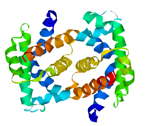 Figure 4: Hemoglobin S