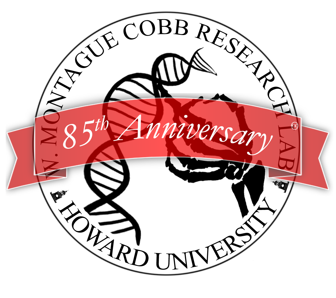 cobb seal 8t5th ann blackclear.png