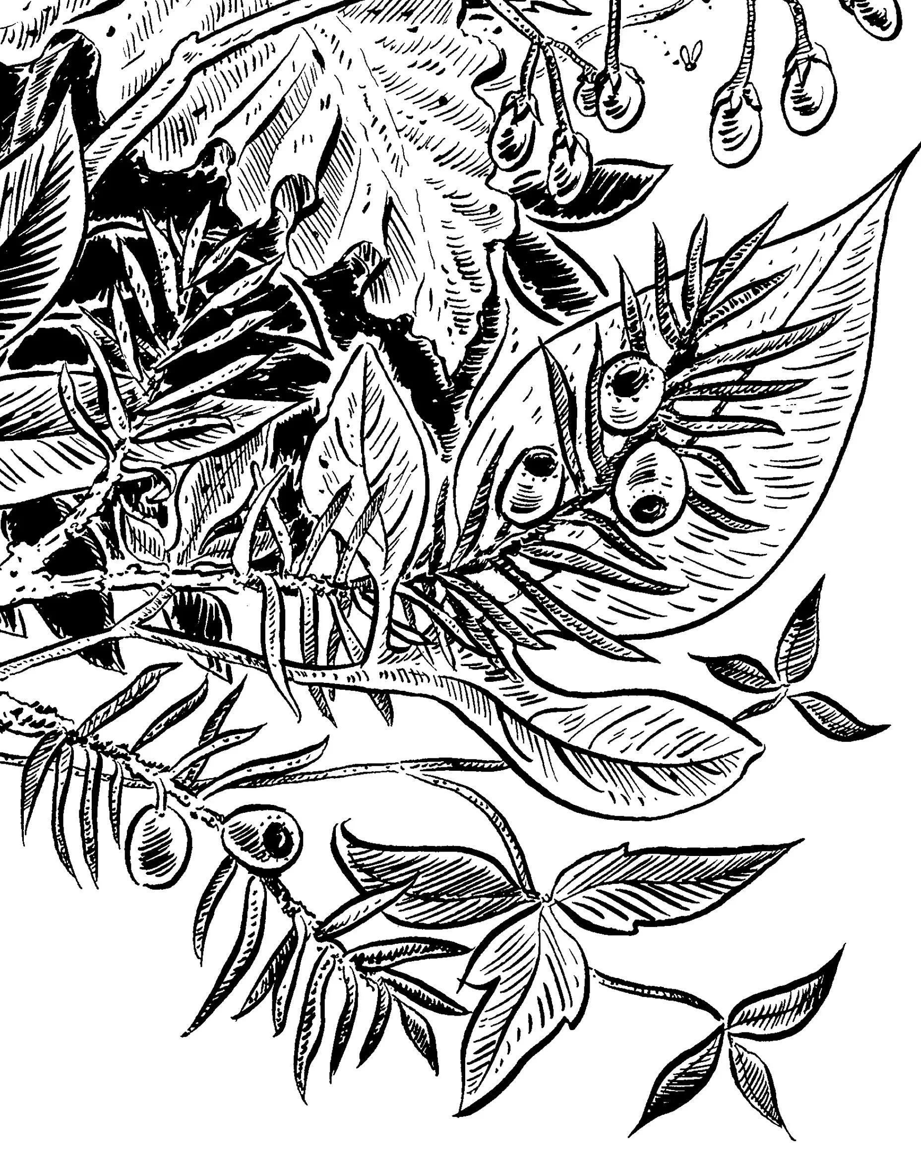 detail4.jpg