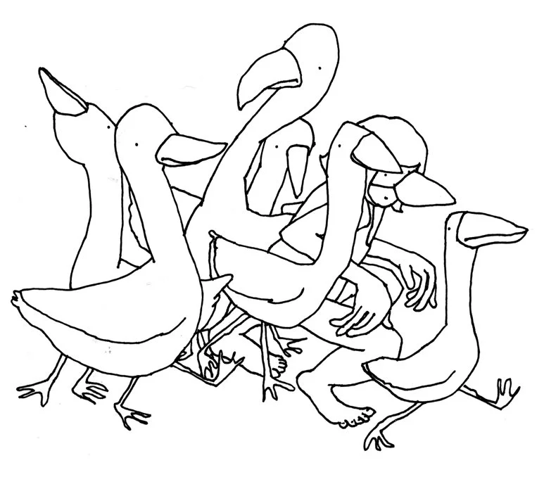 rabbits_ducks_930px.jpg