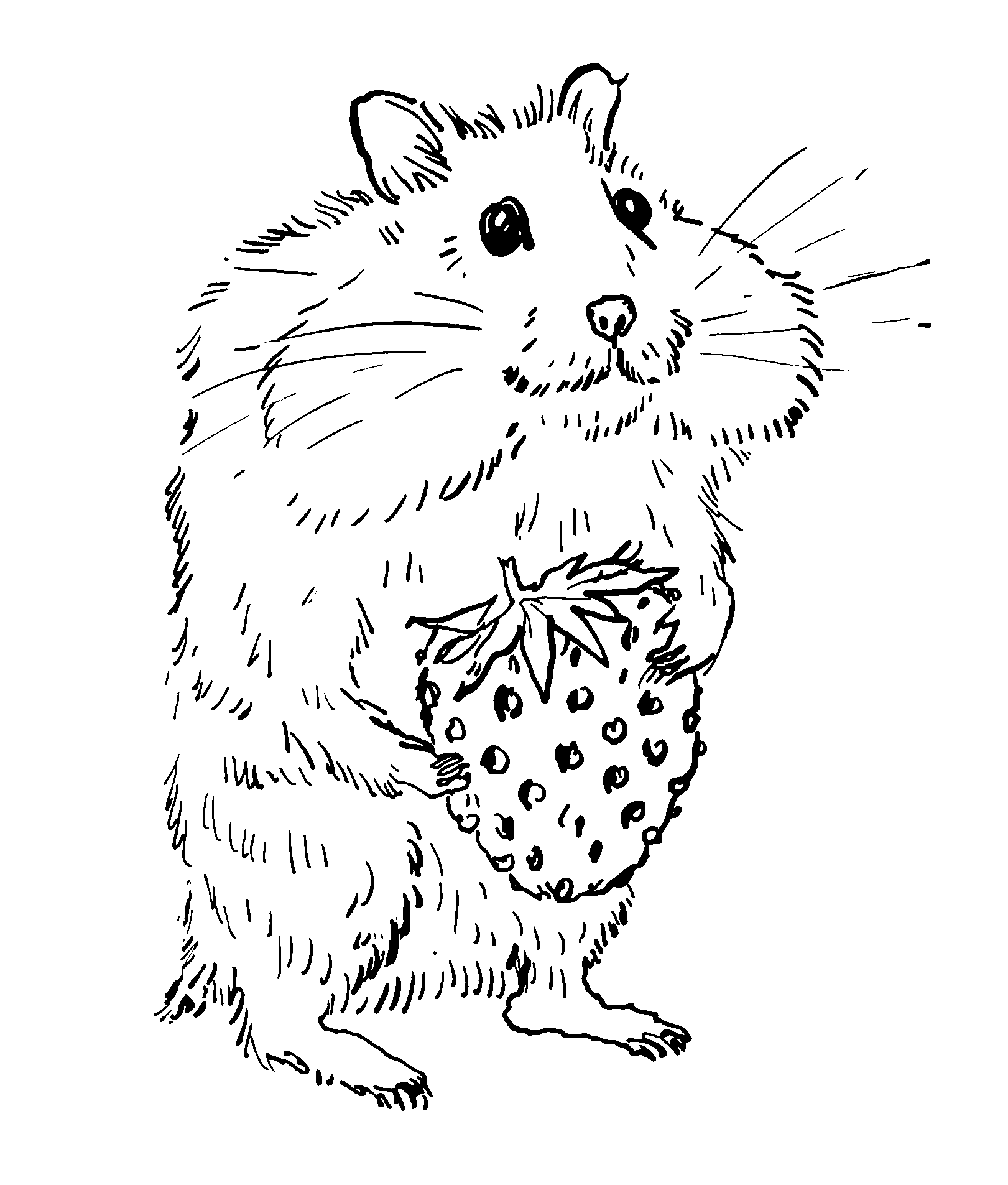 primmy.png