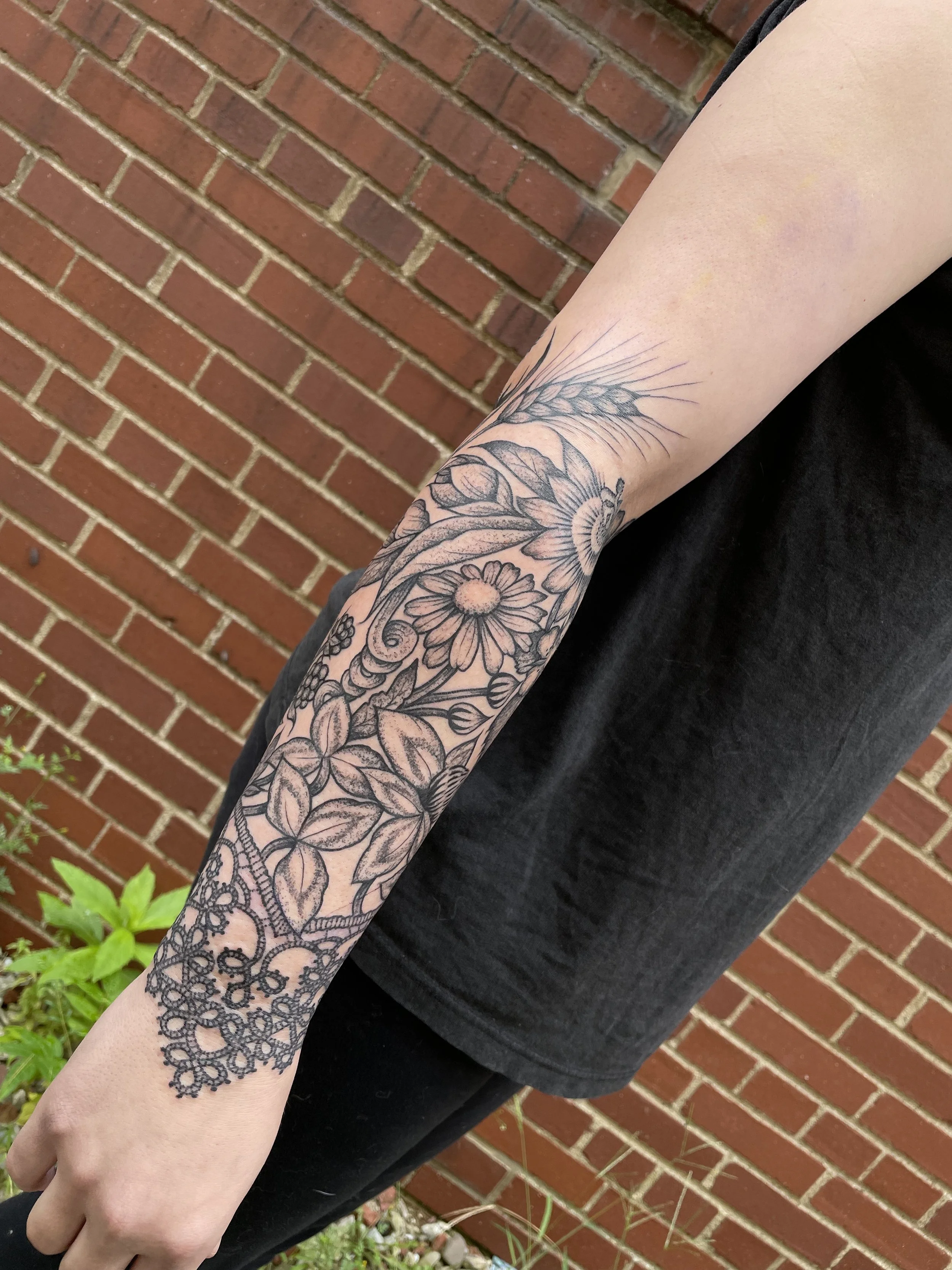 IMG_3493.jpg