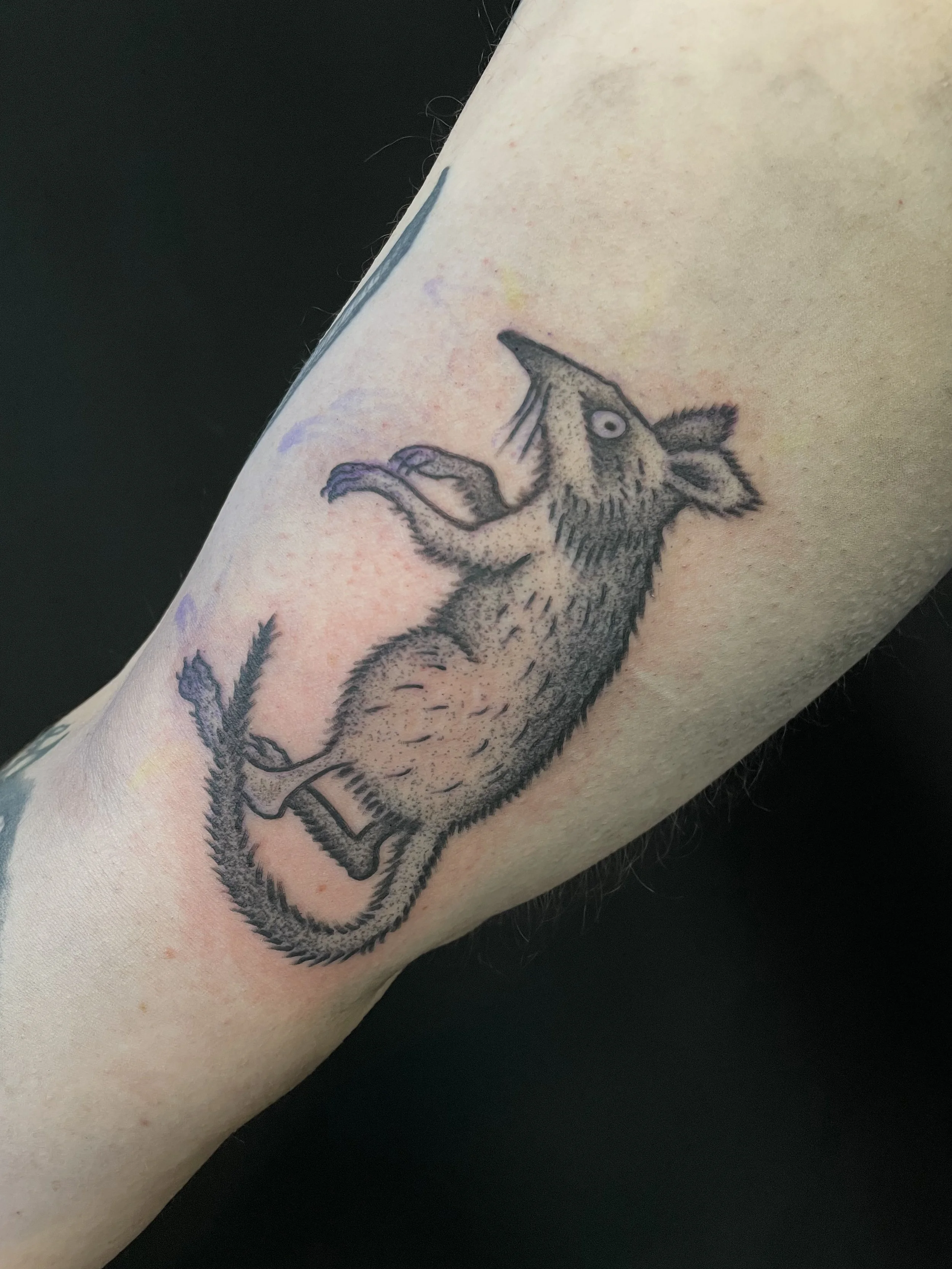 rat2.jpg