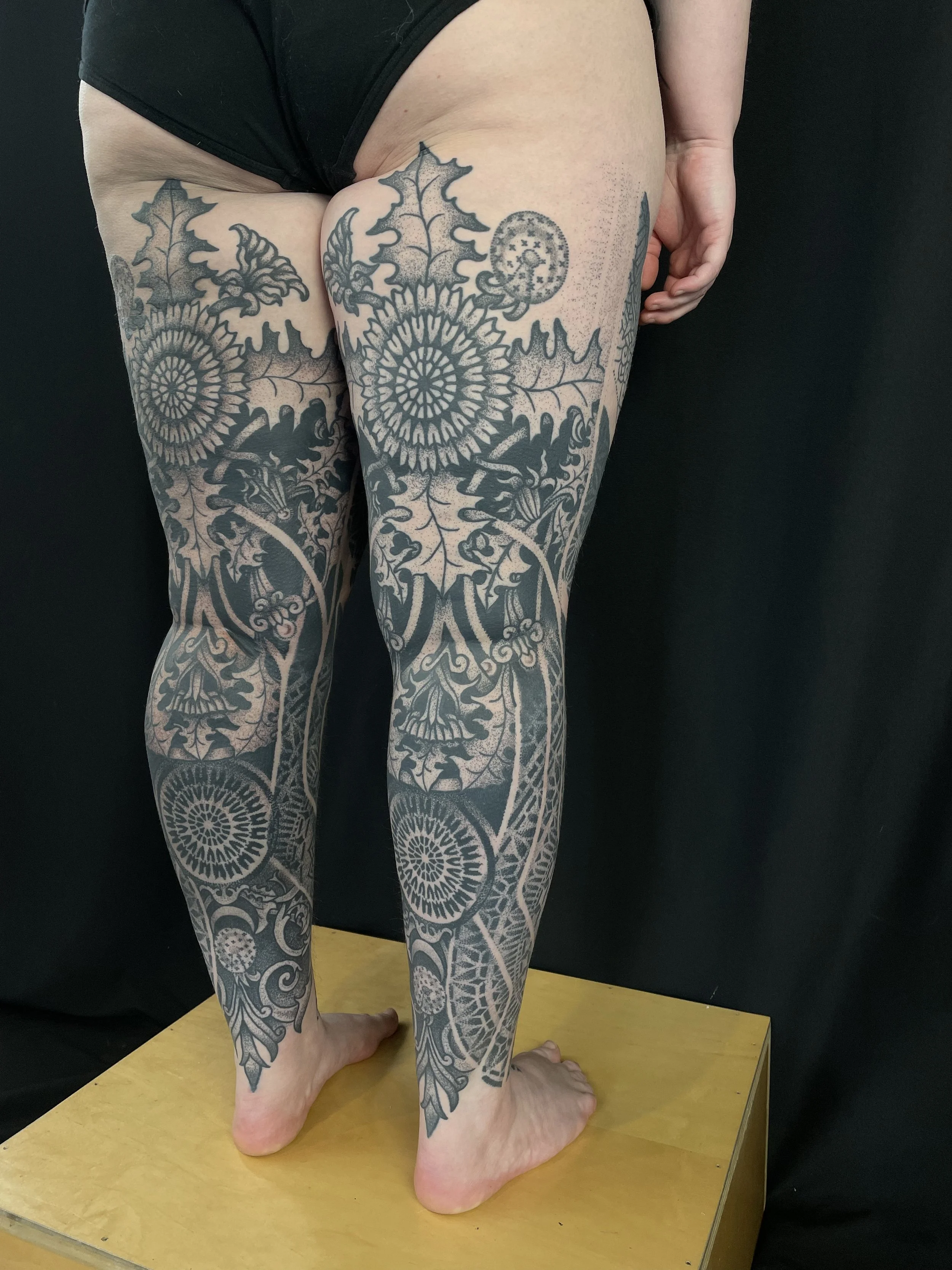 IMG_7712.jpg