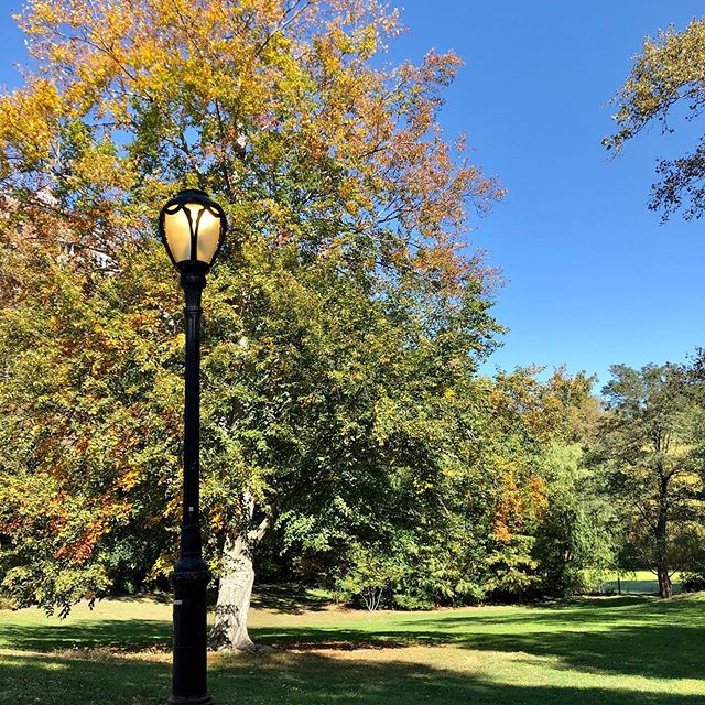 A NY Chanteuse spending this gorgeous autumn morning walking in her backyard listening to Al Jarreau... really! What a gift I have been given and I will take it!!! #mymothersdaughter #nycliving #theatre #musicaltheatrelife #cabaret #backstage #actorl