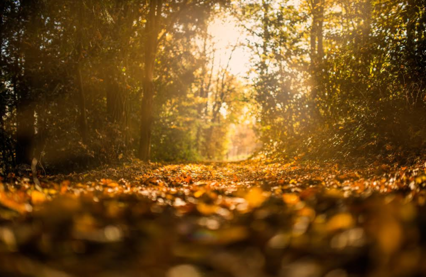 A Deeper Understanding of Gratitude