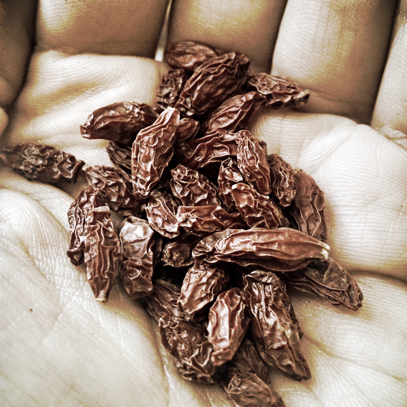 Medicinal Herbs