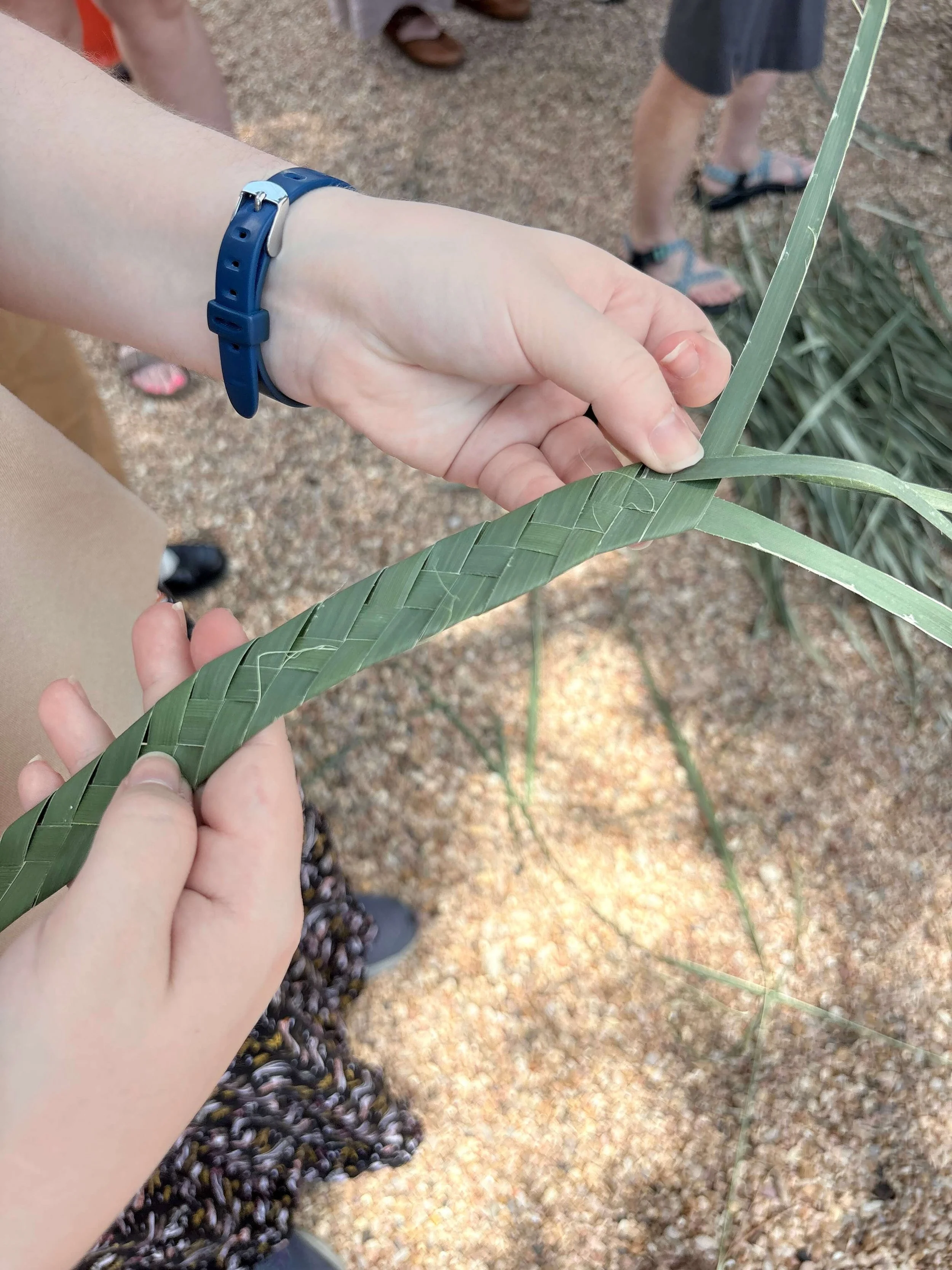 Koehn_Molly_GardenGatherings_2026_9.JPEG