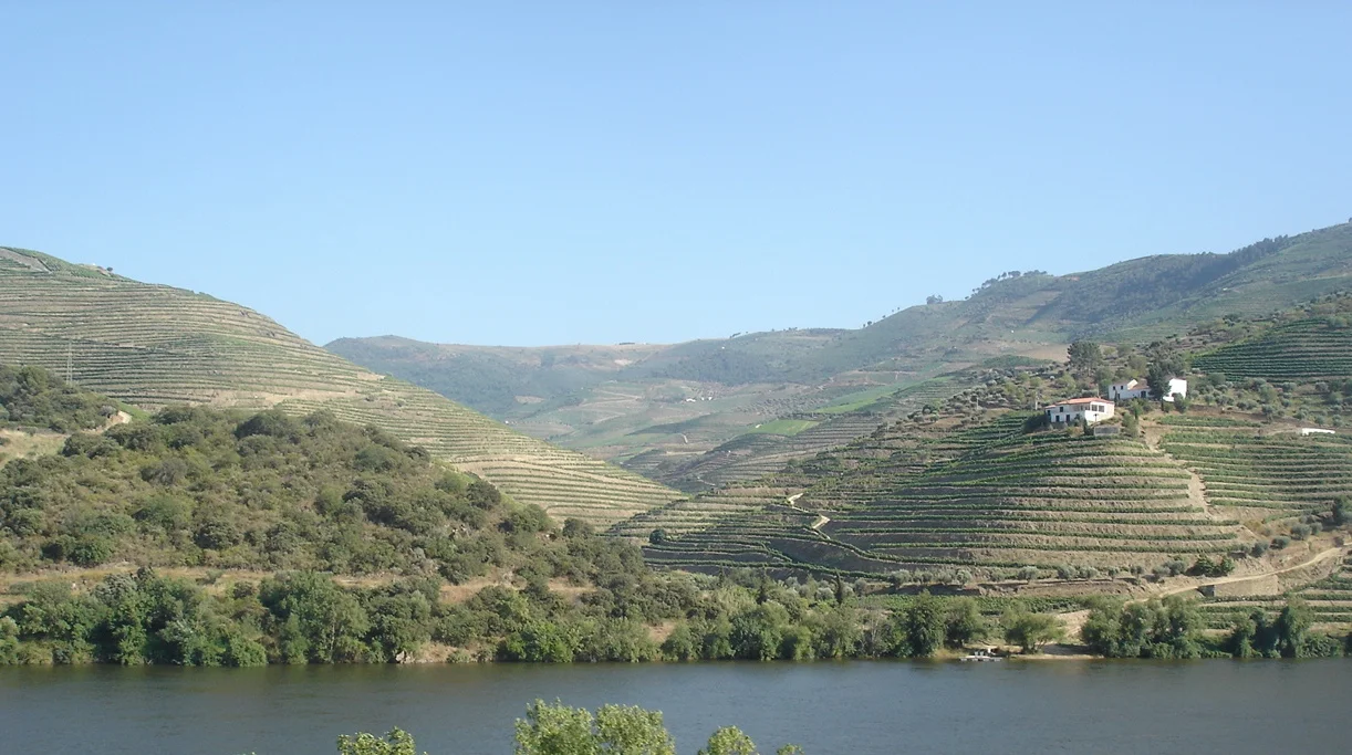Douro&Trbtry.jpg.JPG