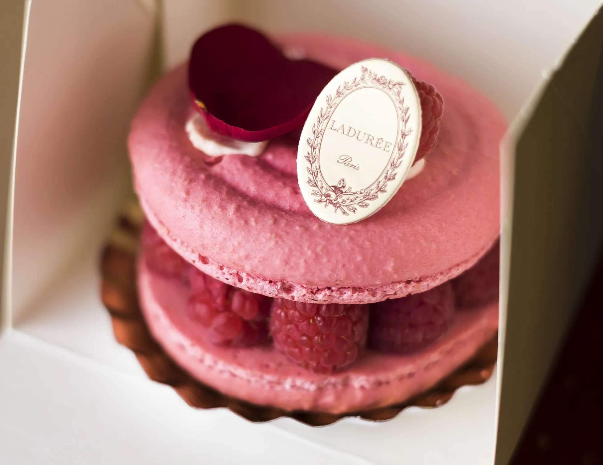Grand Macaron from Laduree