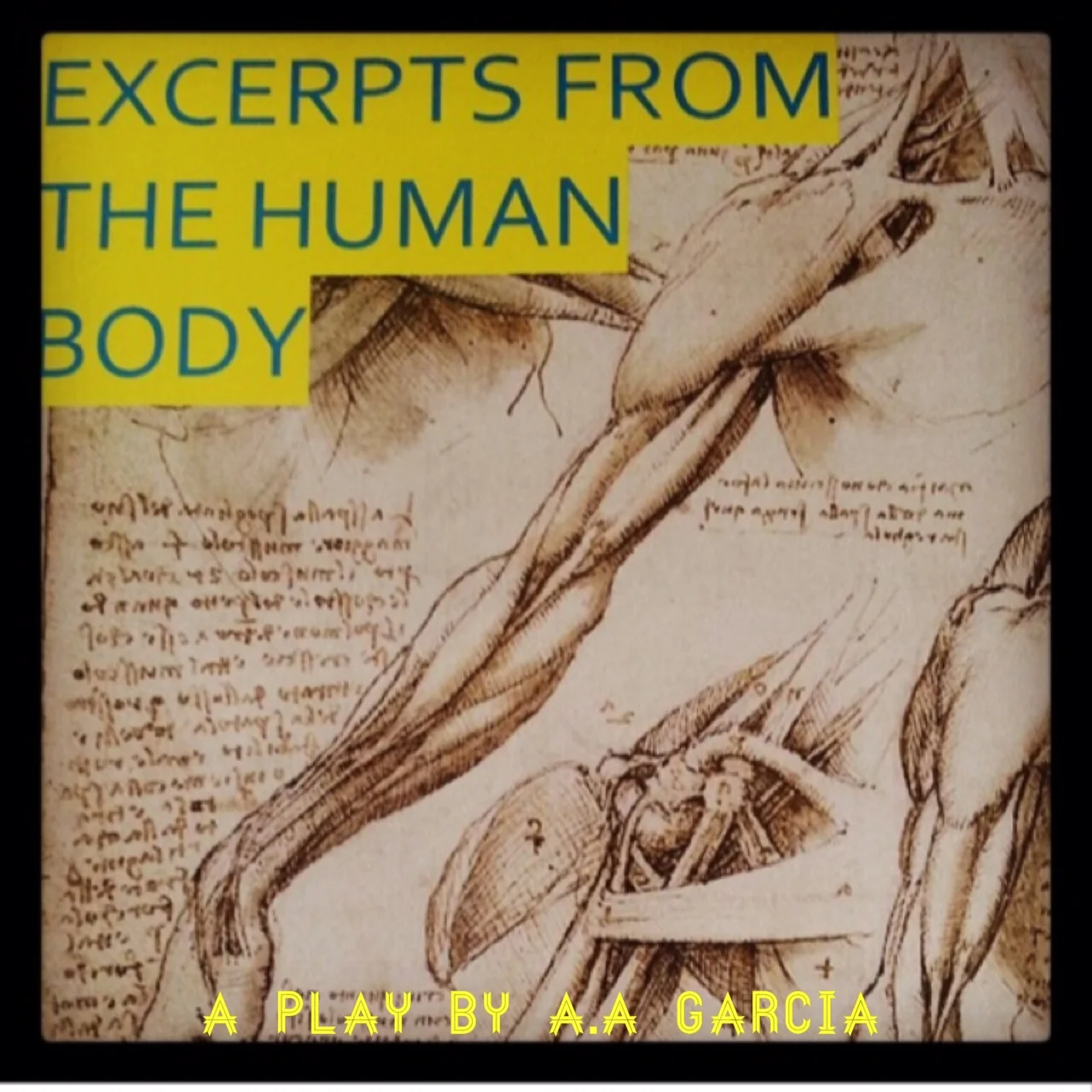 EXCERPTS FROM THE HUMAN BODY