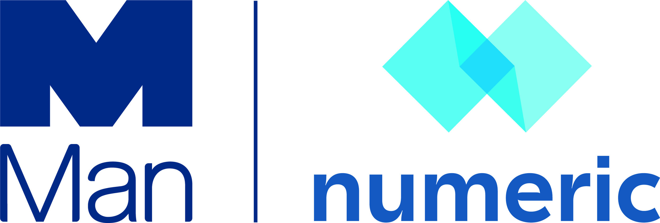 Man Numeric.jpg
