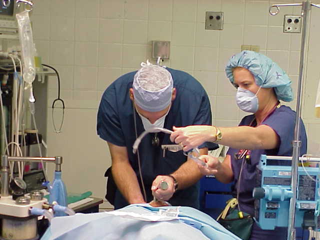 Anesthesiologiologist at work.jpg