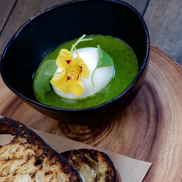 Burrata and nasturtium via @lukevenner