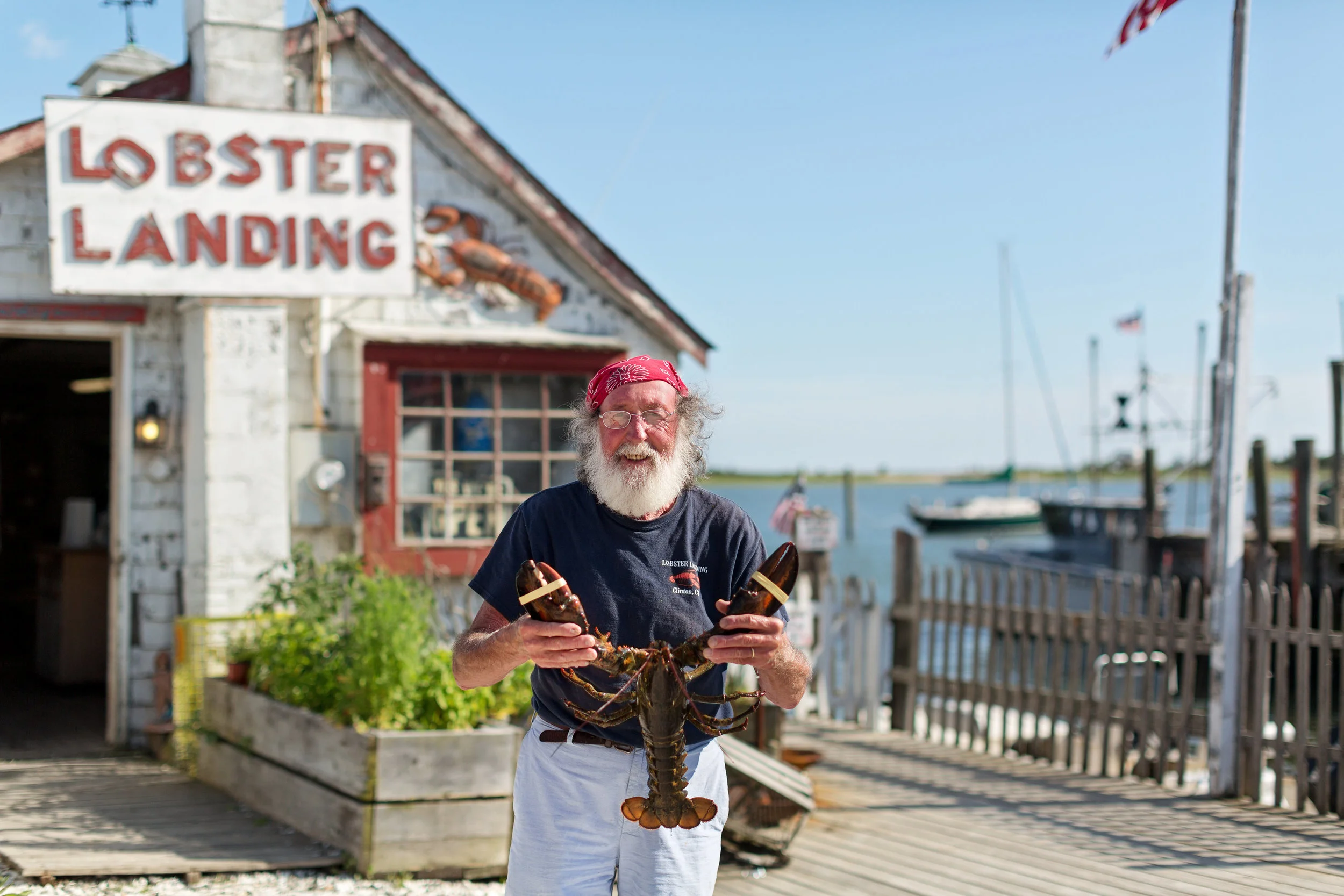 Interview With: Enea Bacci of Lobster Landing