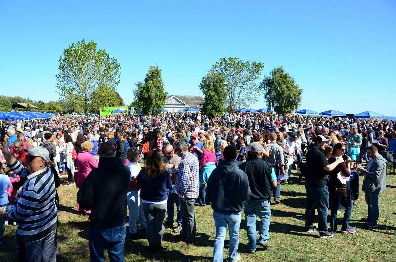 chowdafest.jpg