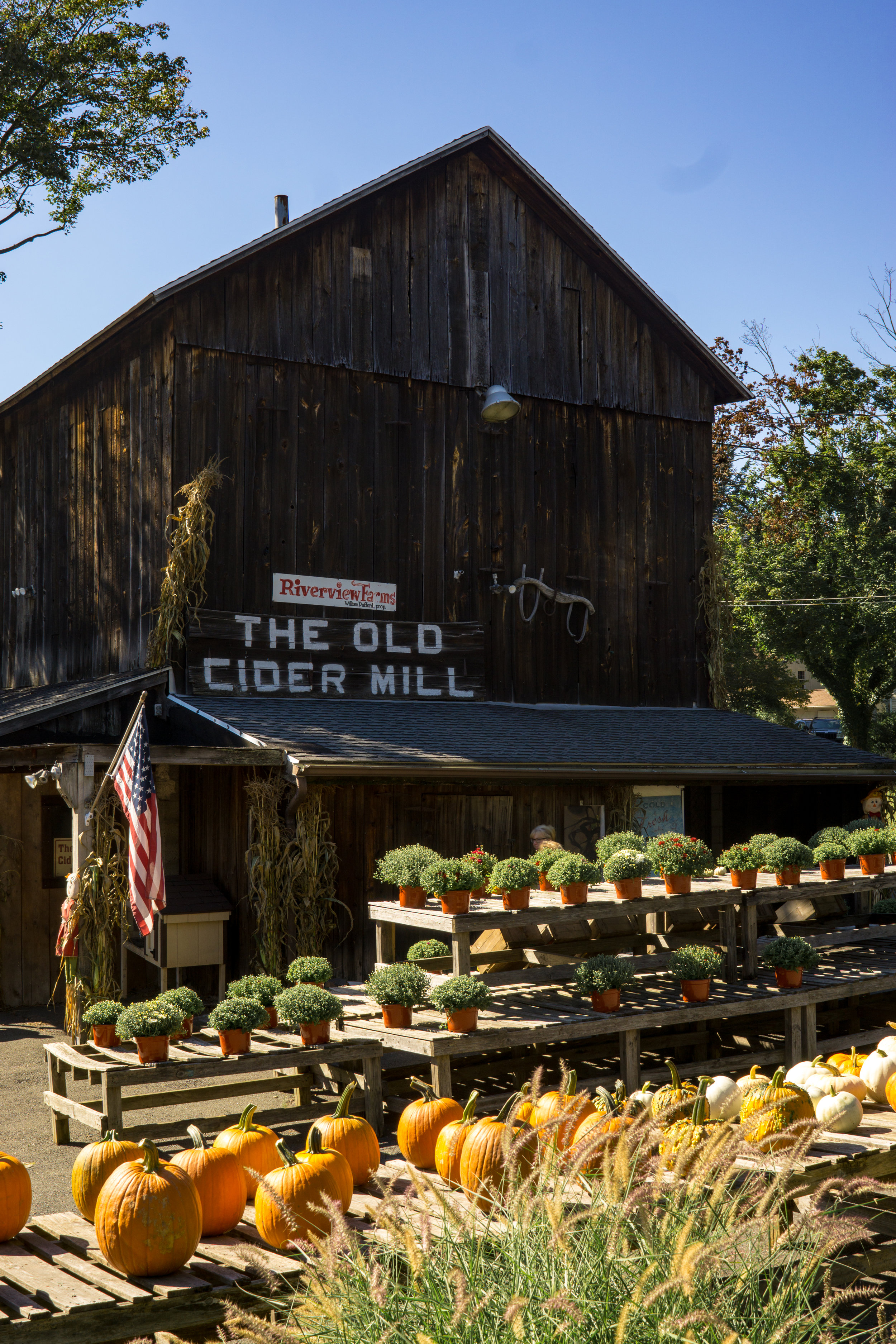 the old cider mill-17-2.jpg