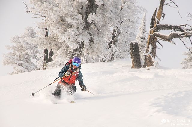 @kris_y10 enjoying a powdery turn up on Teton Pass.

#wyoming #earnyourturns