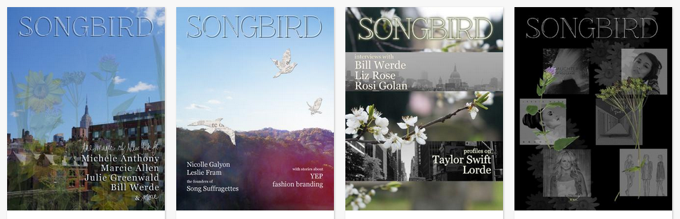 Click the image to go to the issuu site &amp; view the full magazine issues!