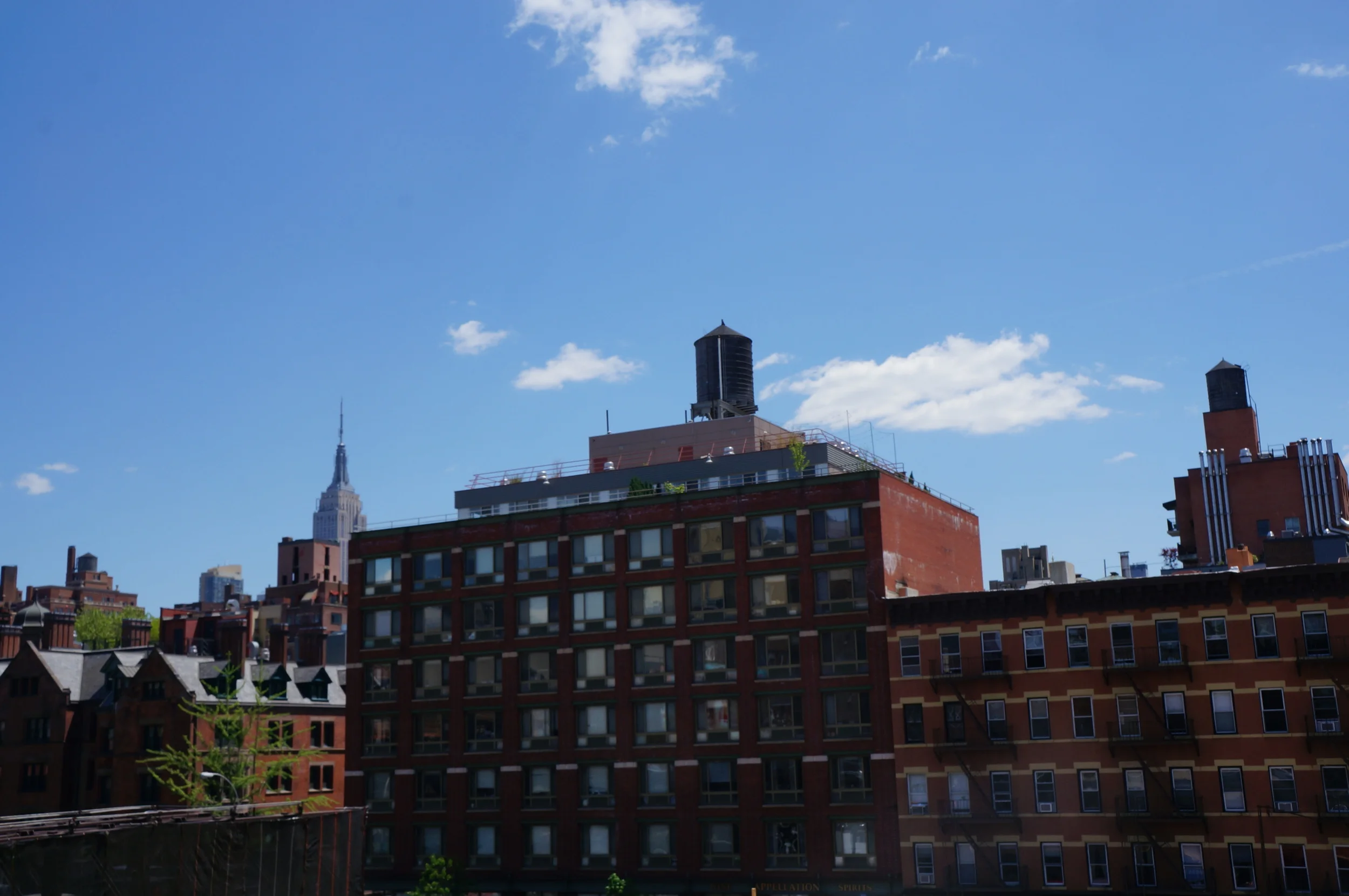 Round Hill Music's Mallory Zumbach Talks About the Industry