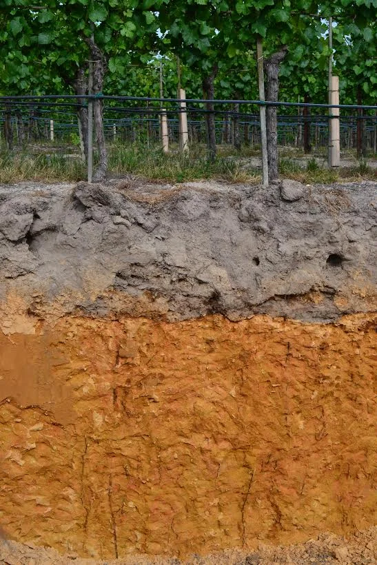 Wine Mic Monday: Emeritus Vineyards
