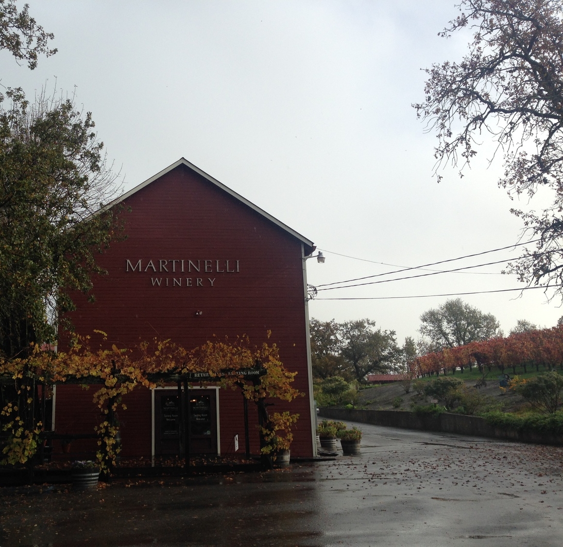 MArtinelli Winery 2.JPG