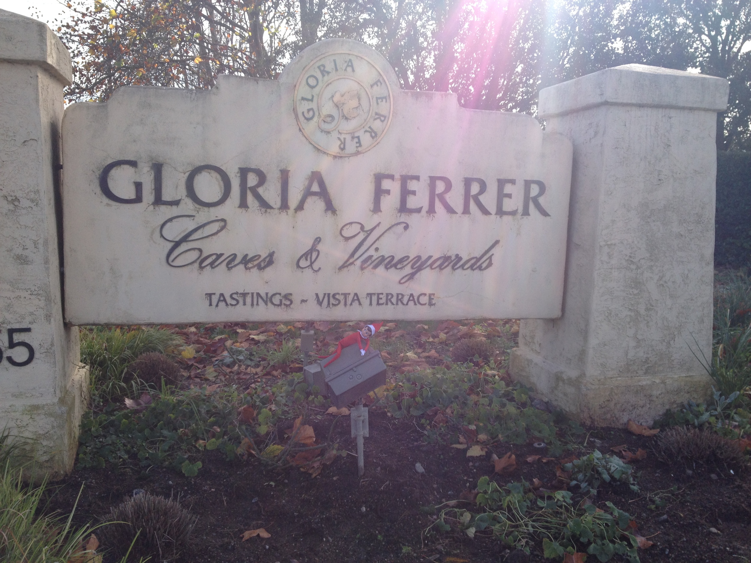 Gloria Ferrer_sign.jpeg