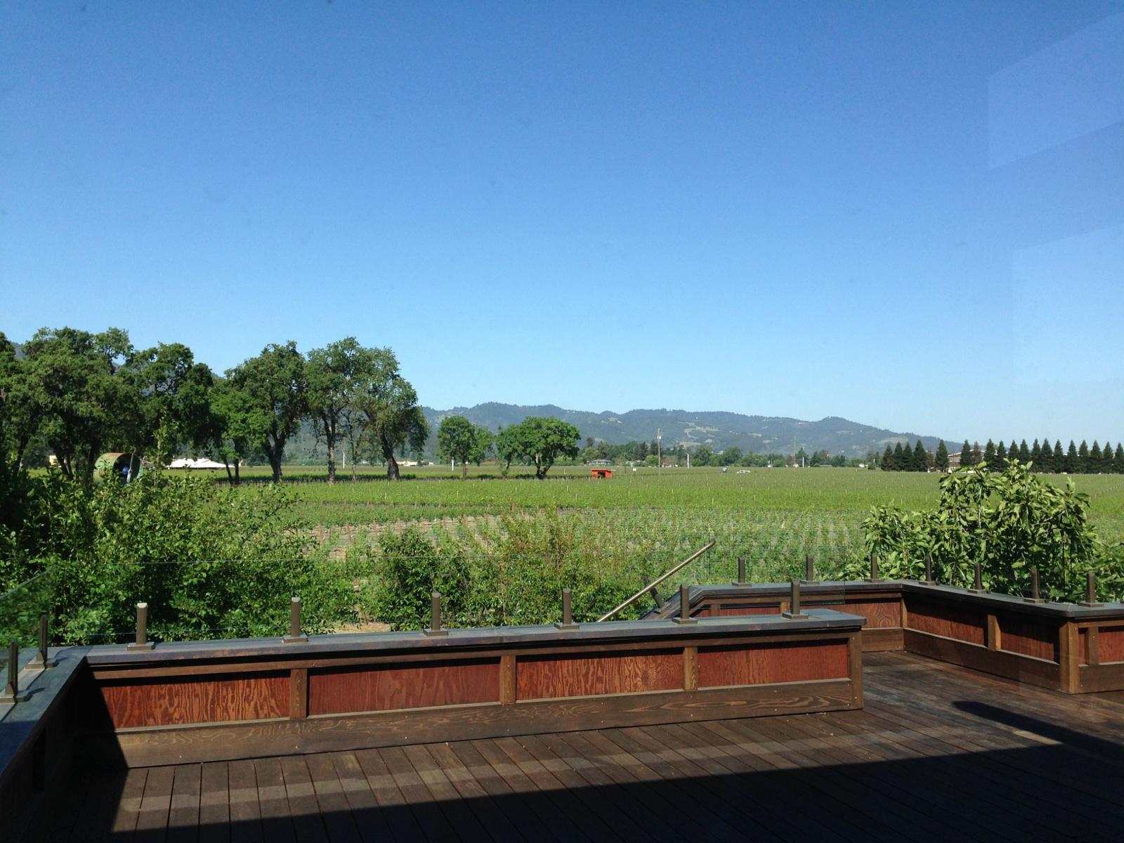 Sullivan vineyard view | VAULT29