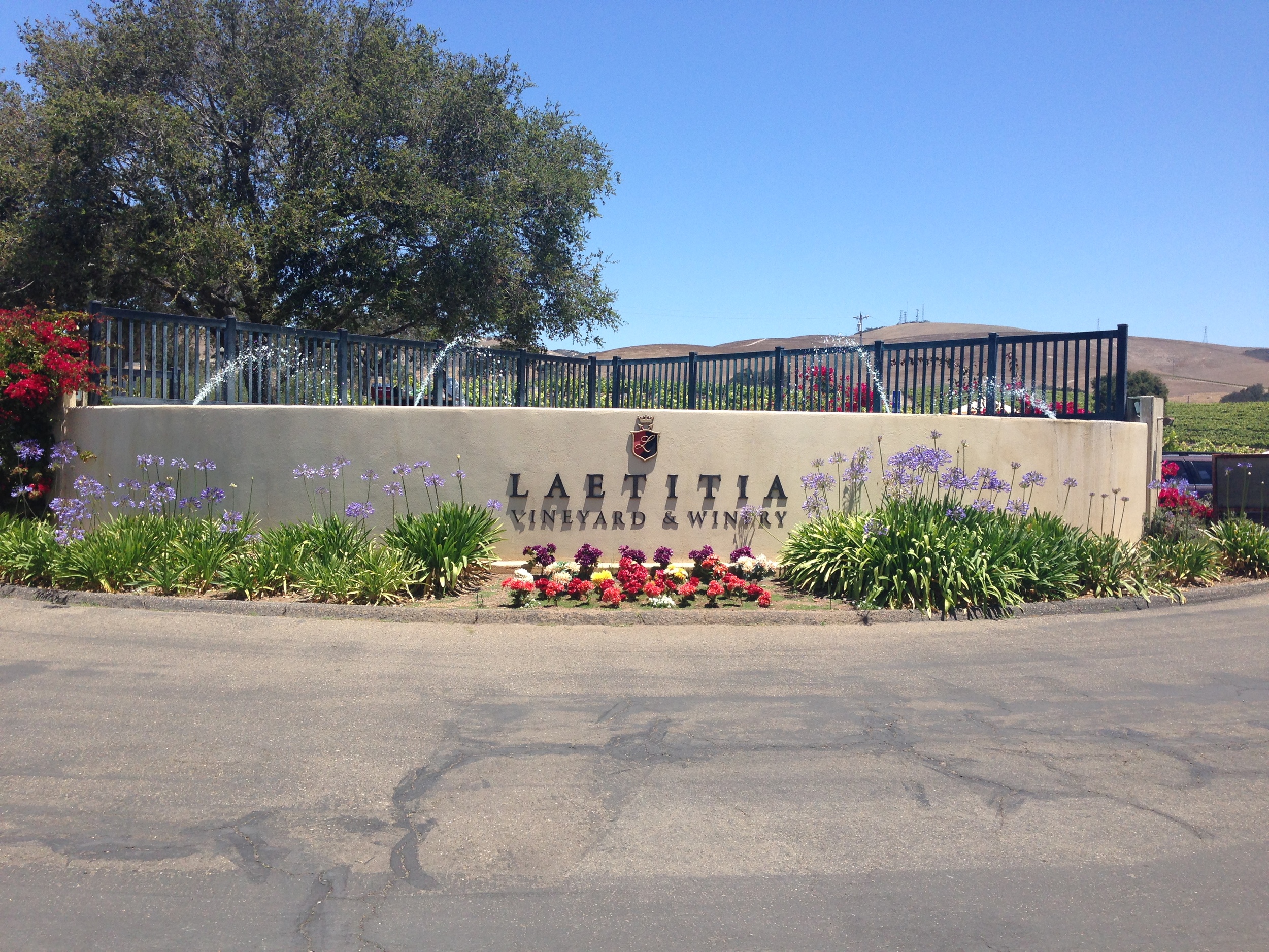 Laetitia Winery Sign | VAULT29