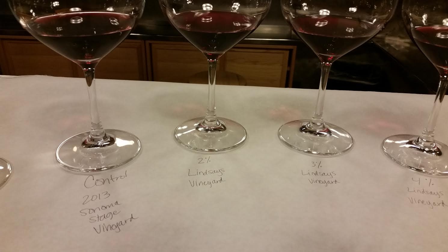 Taste Testing Erin E. Wines | VAULT29