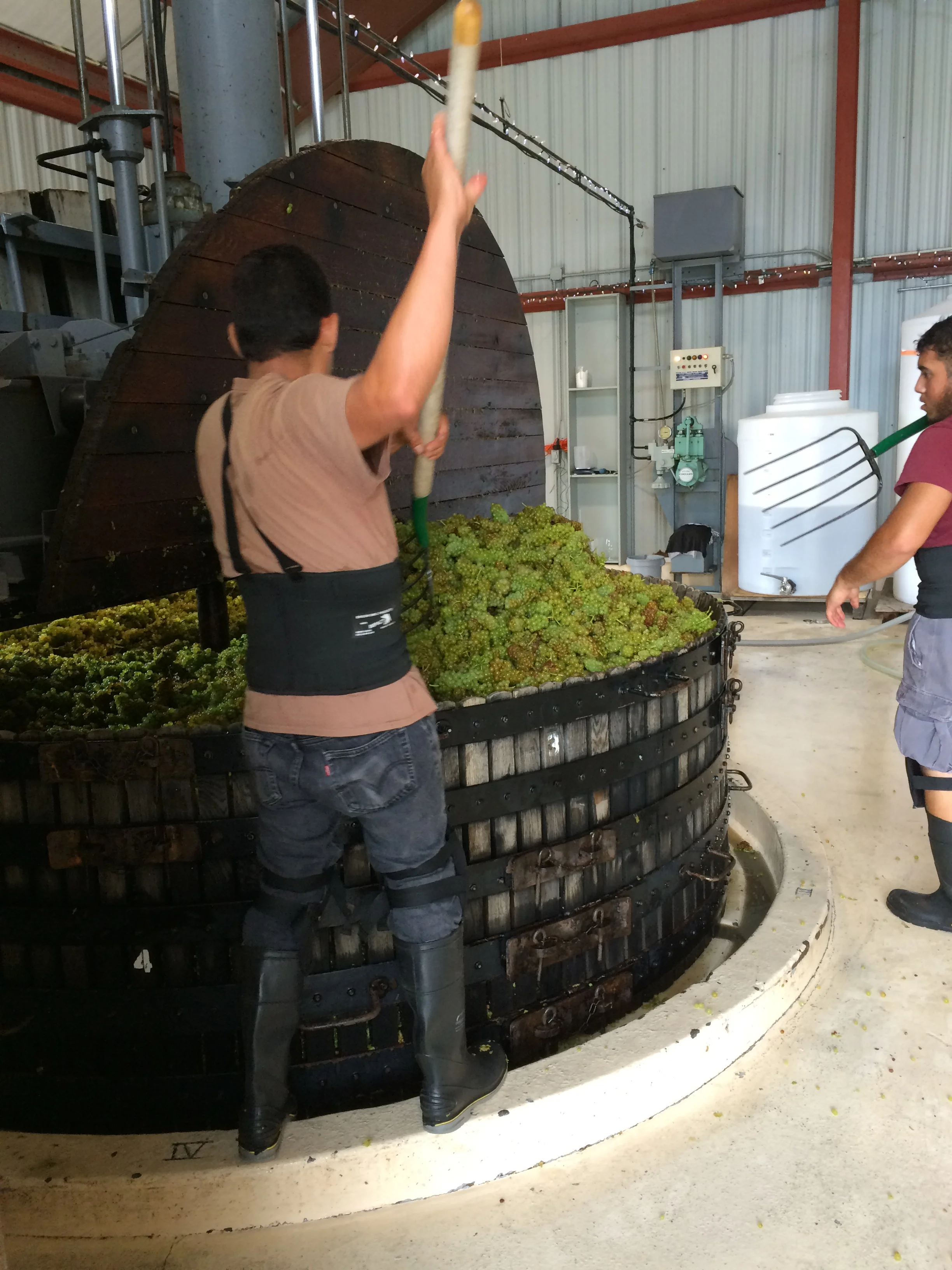 Harvest2015