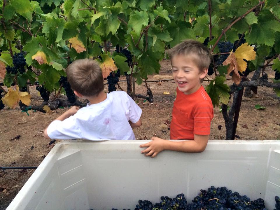 kids picking.jpg