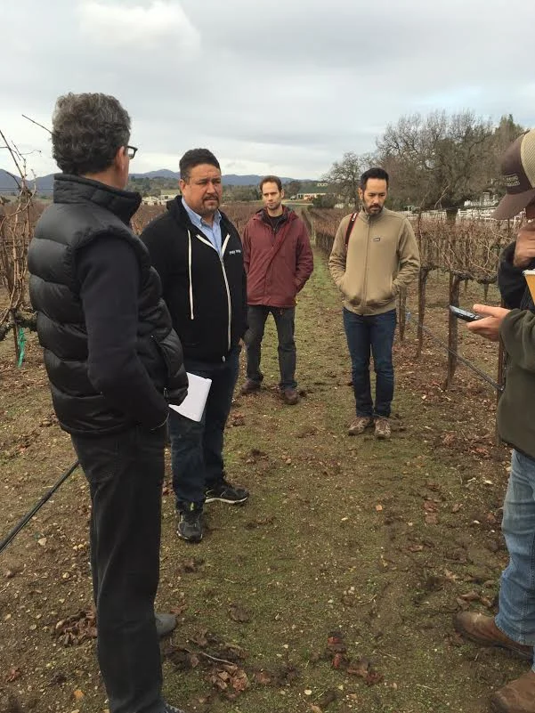 group in vineyards.jpg