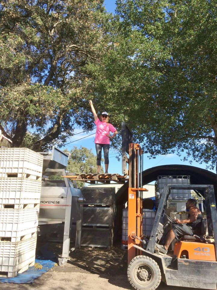 Lexine helping with the fork lift.jpg