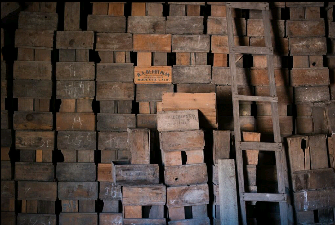 Old fruit boxes stored in a barn on Paderewski Vineyard that we just happened to find upon buying the property; many of them are original boxes from Paderewski’s winemaking days!