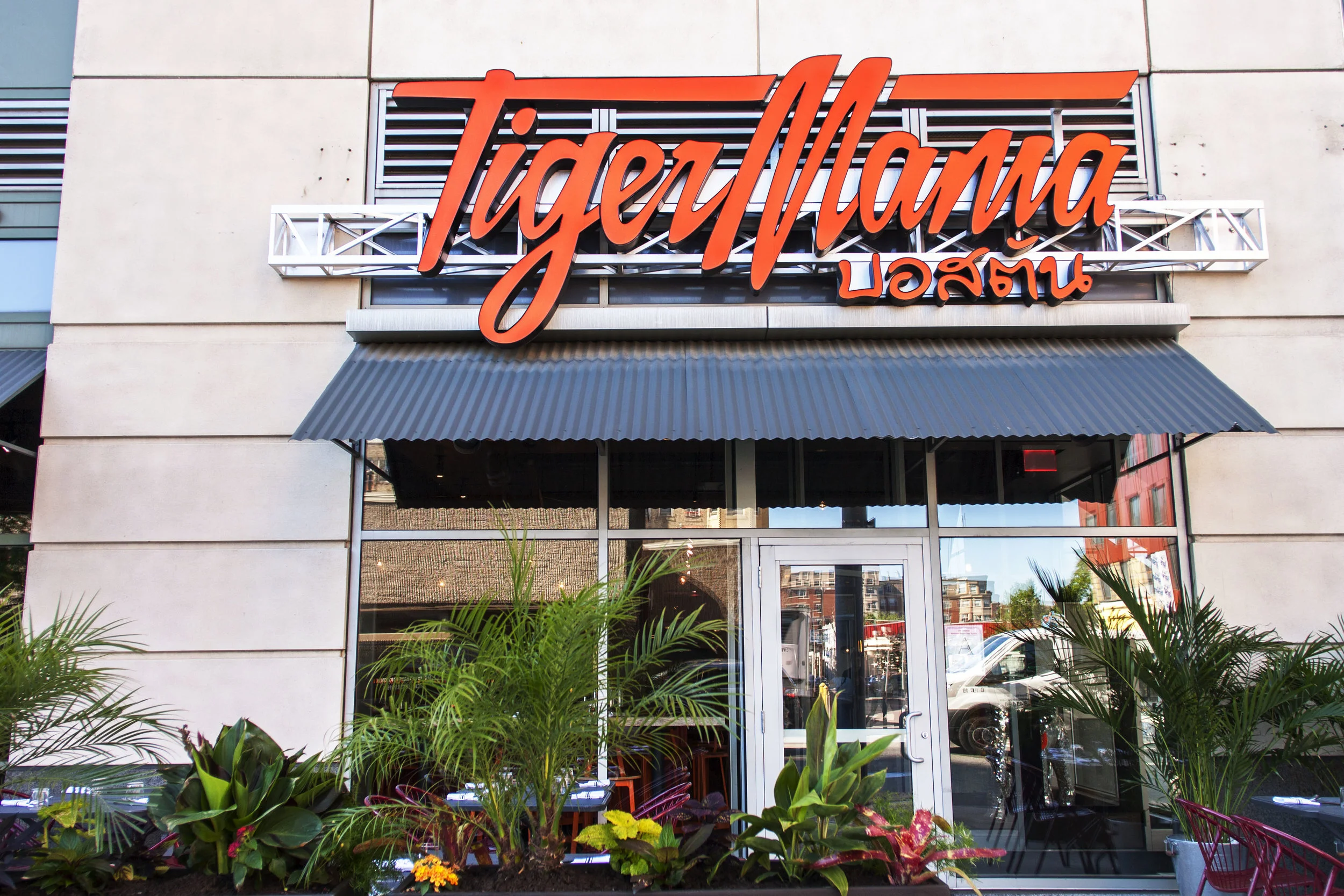 TigerMamaFront.jpg