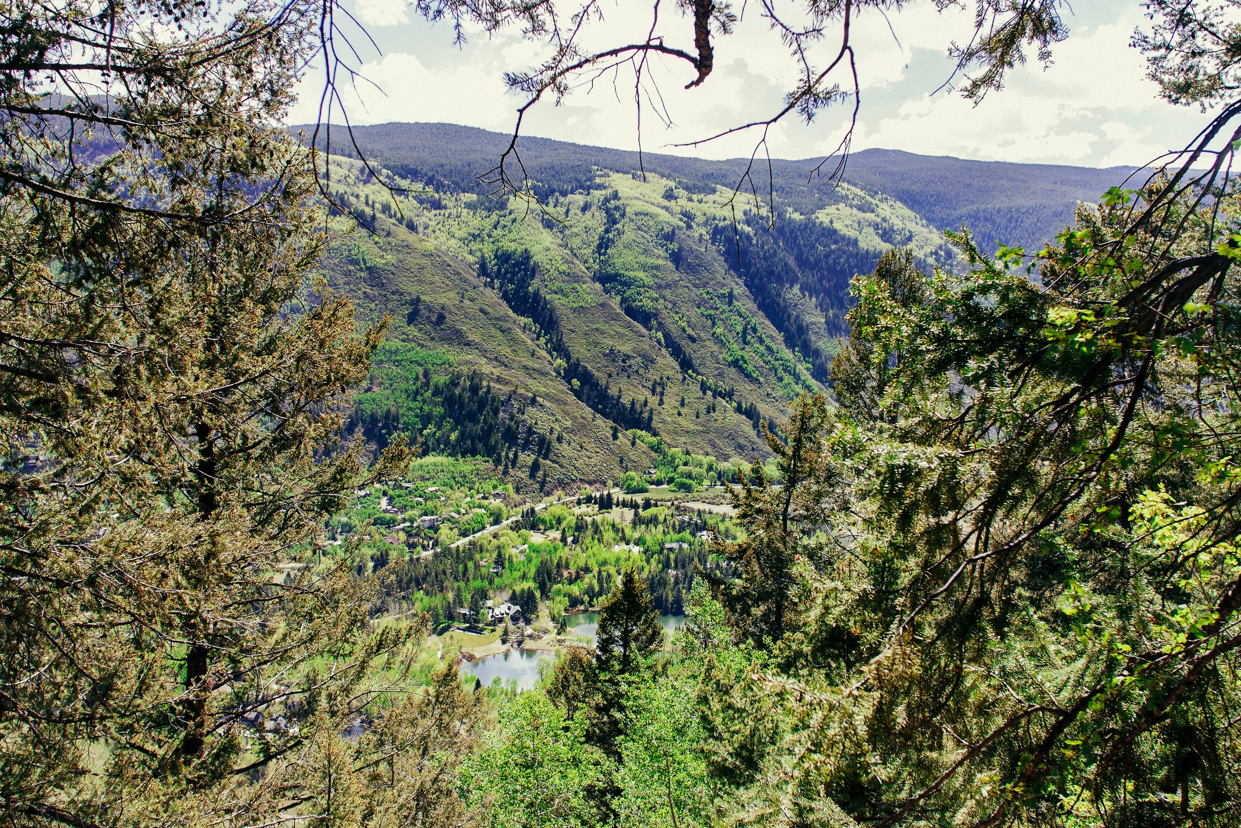 aspen-04.jpg