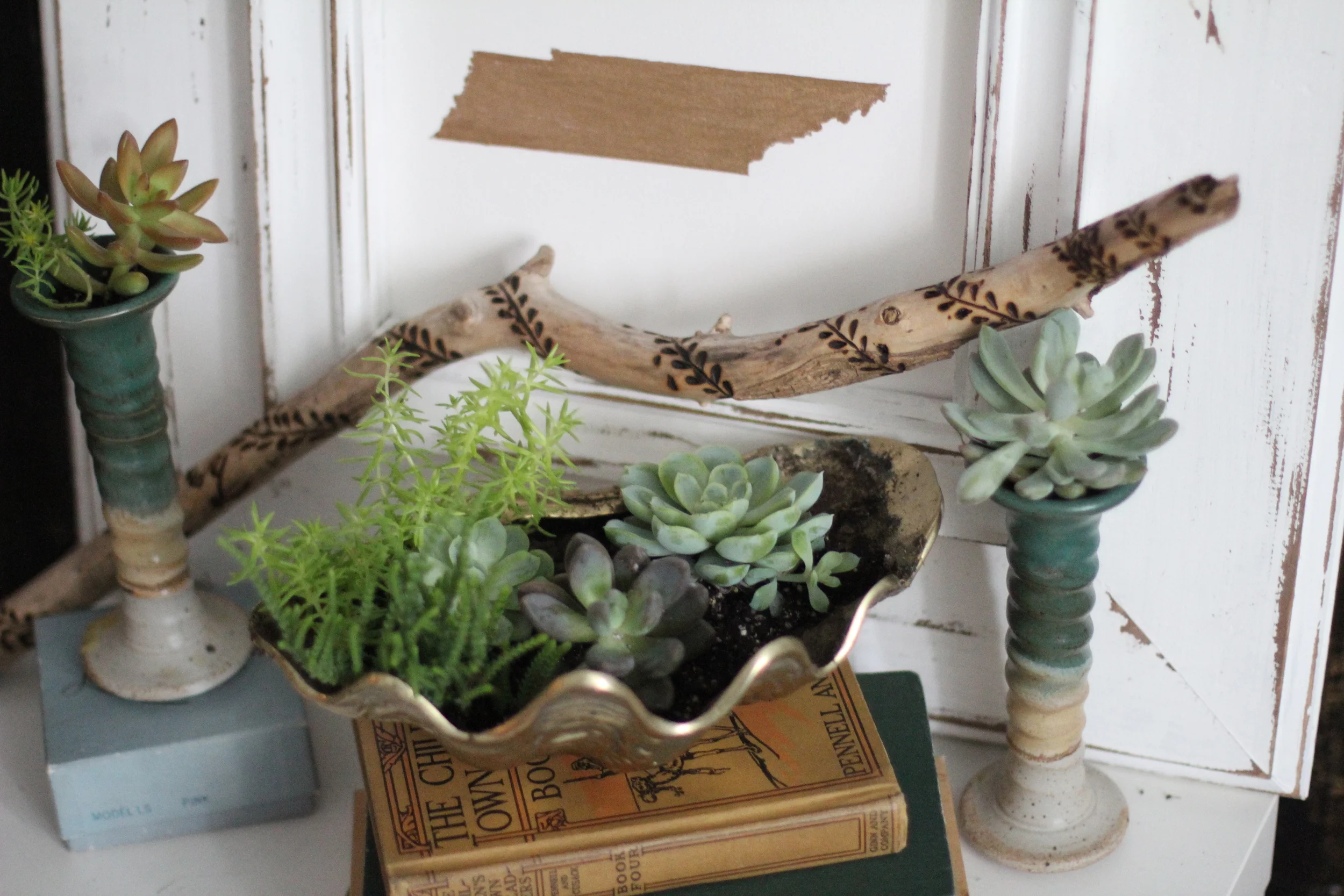 Driftwood Vine Burning