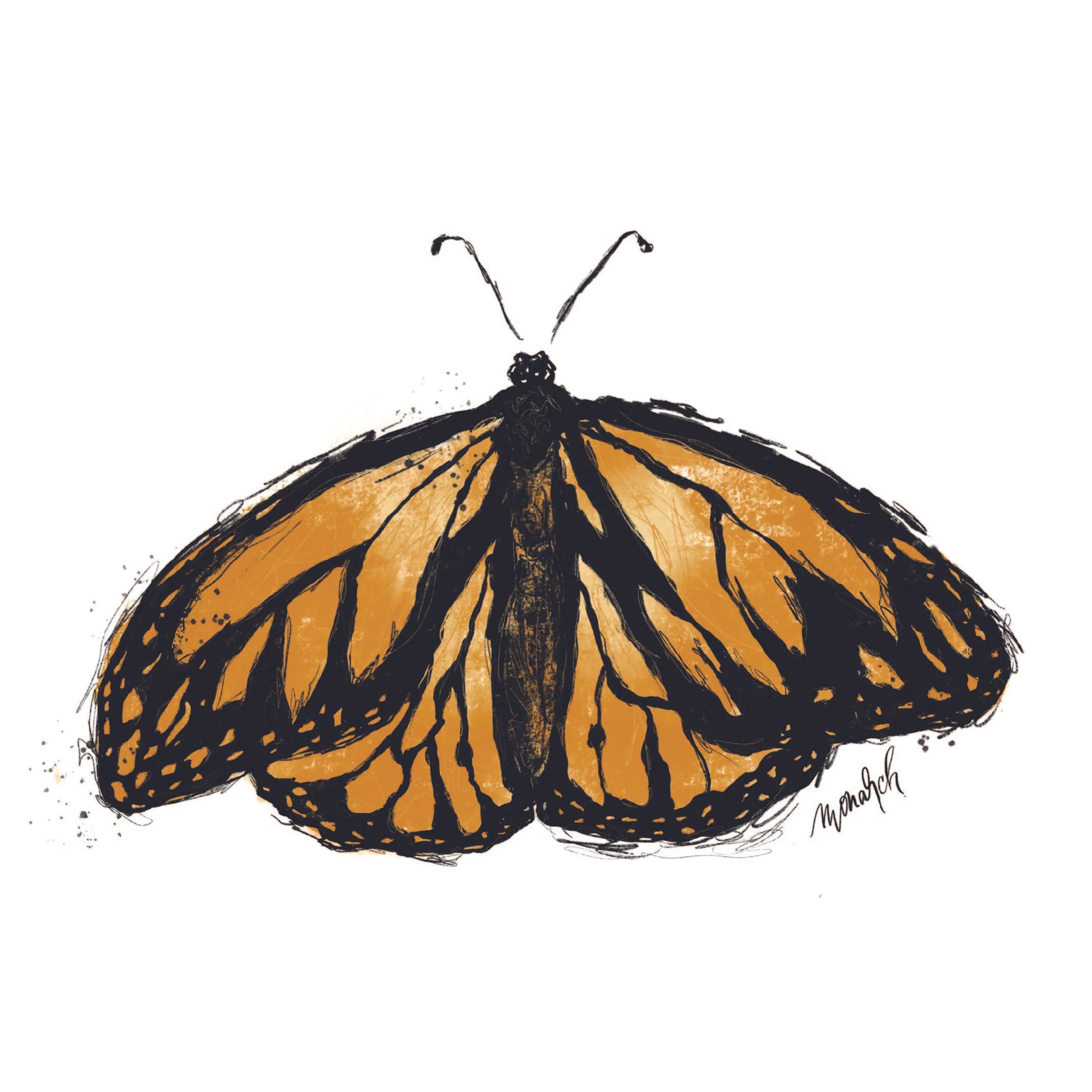 Monarch Butterfly