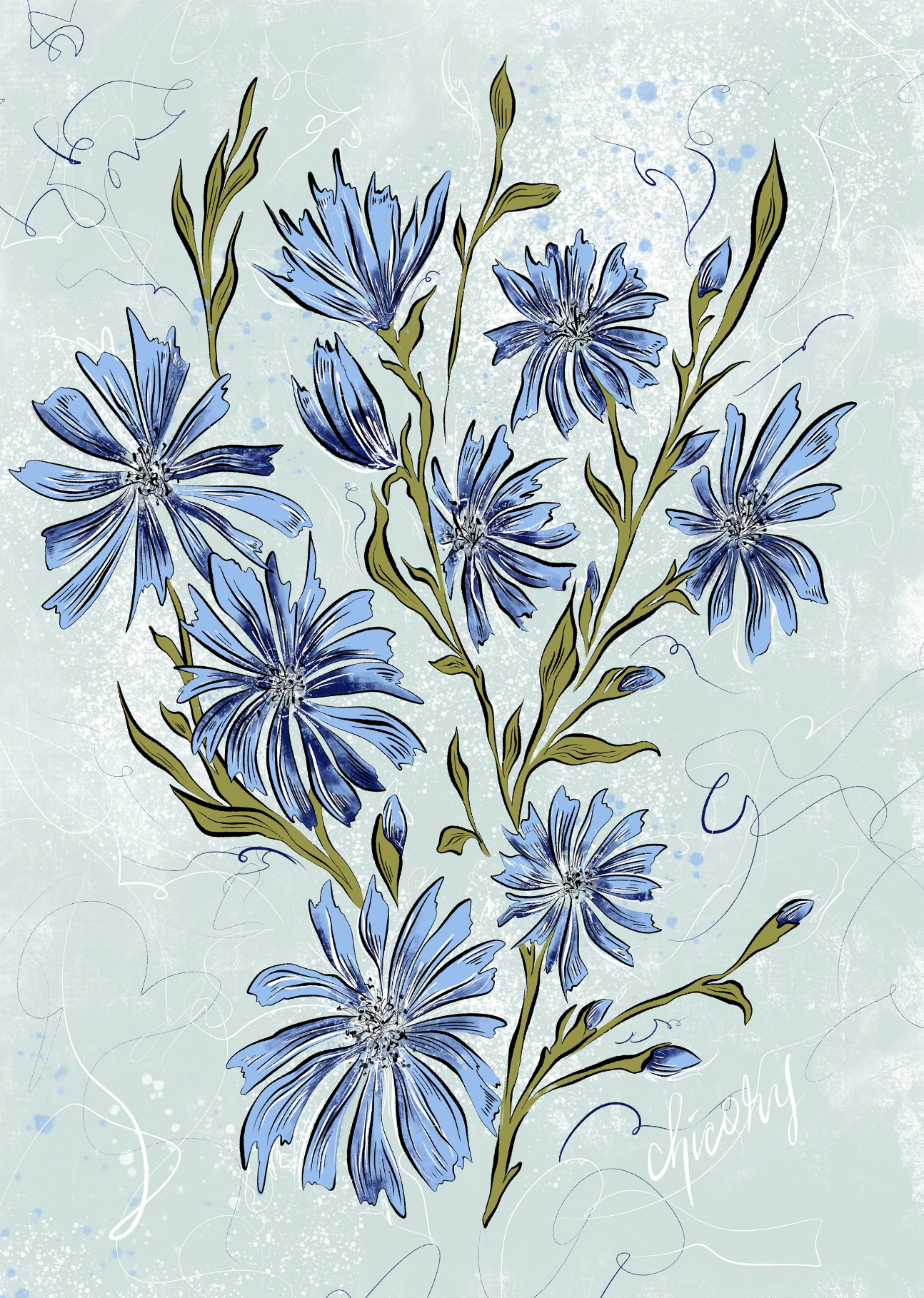 chicory.png