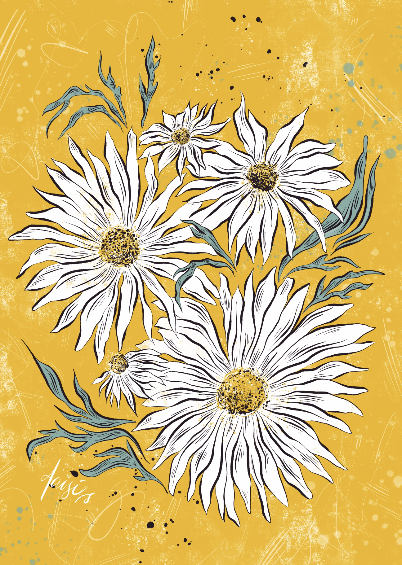 daisies.png