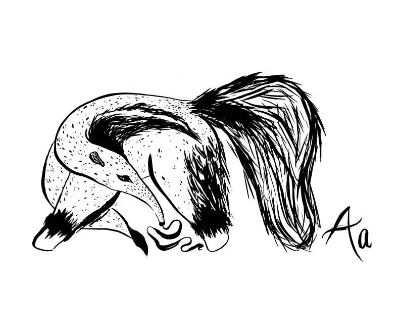 sumi ink animals for website banner -02.jpg