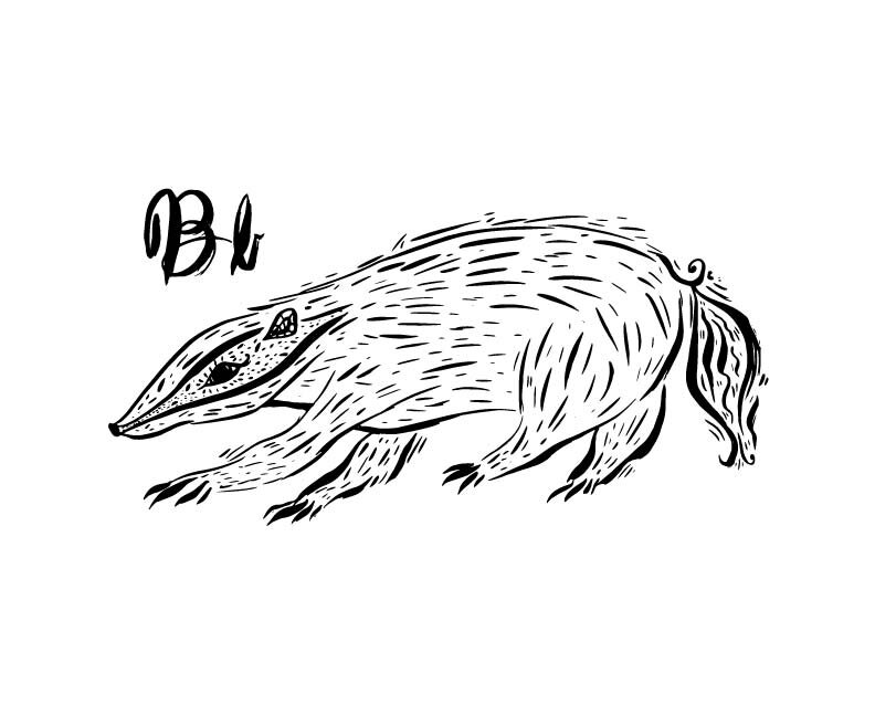 sumi ink animals for website banner -03.jpg