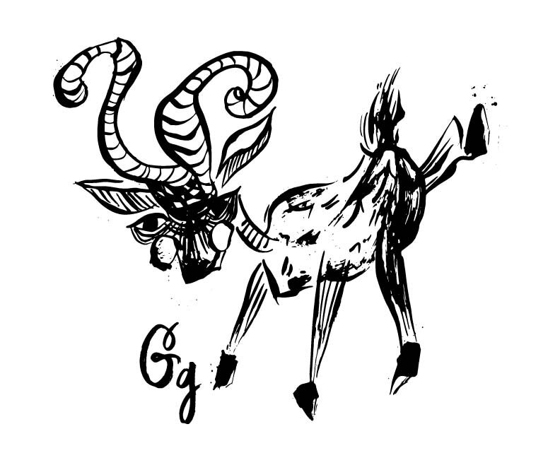 sumi ink animals for website banner -08.jpg