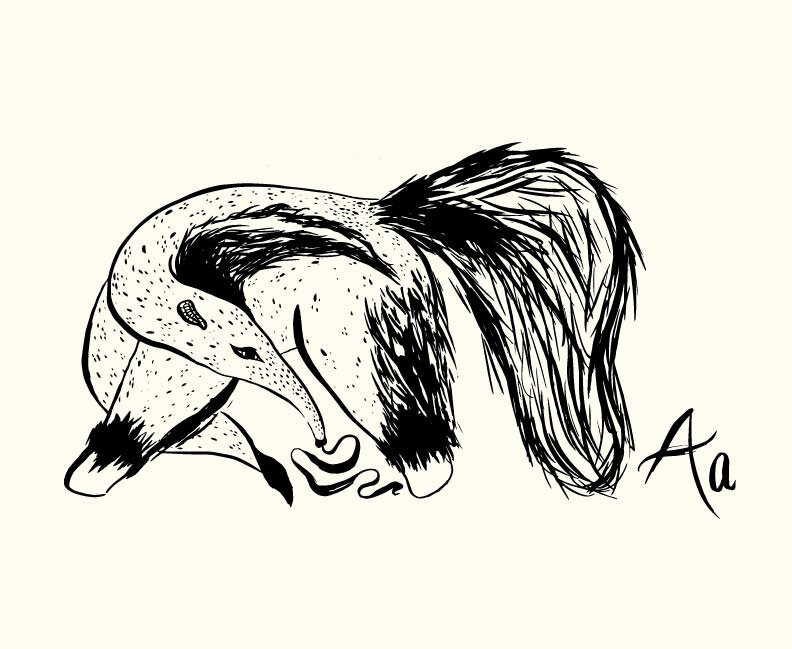 sumi ink animals for website banner-02.jpg